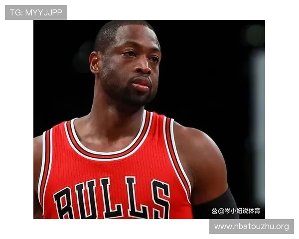 韦德体育：全面解析其在体育行业中的领先地位与未来发展趋势